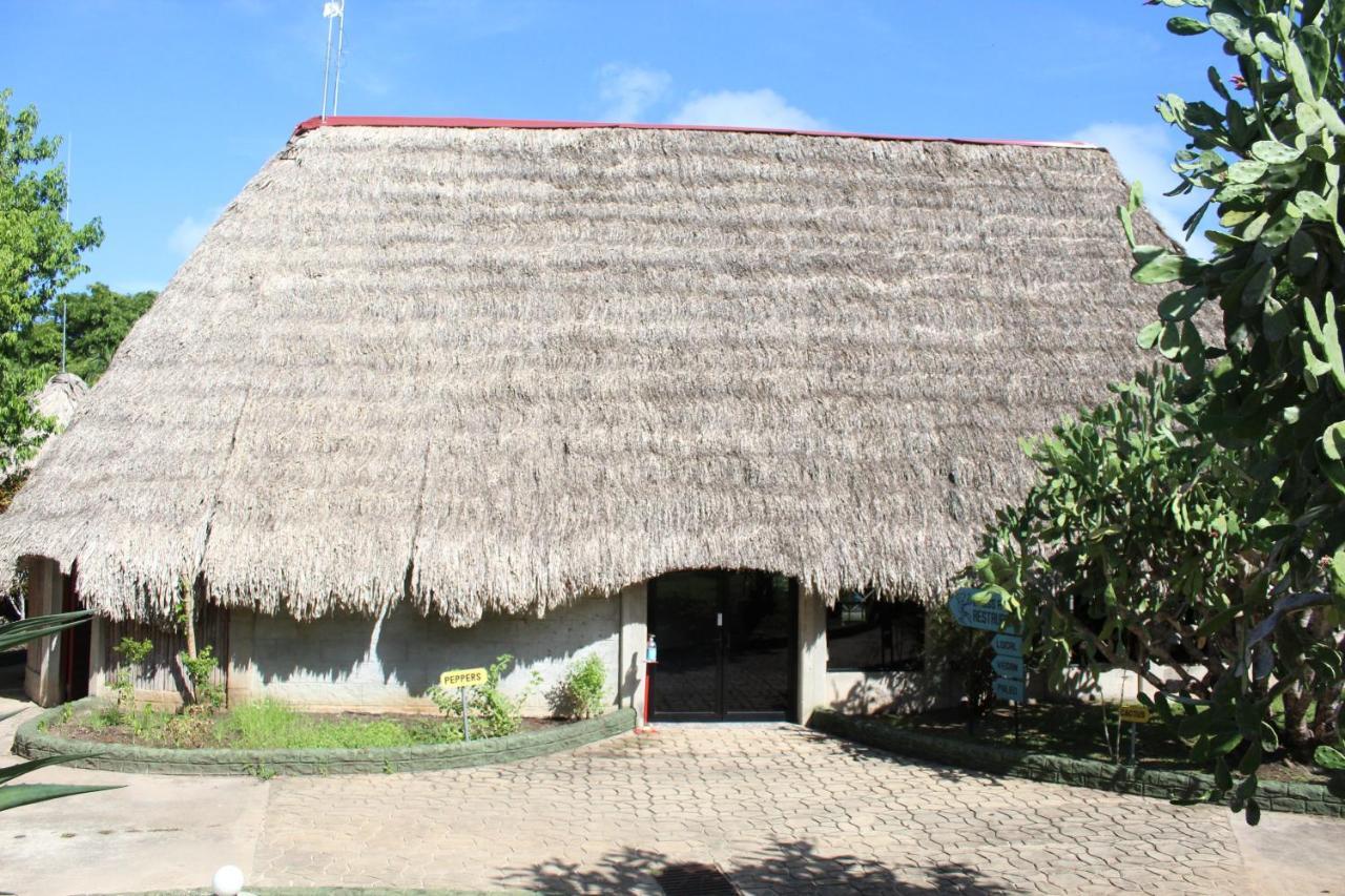 Calico Jack'S Resort Sayab Camp Exterior foto